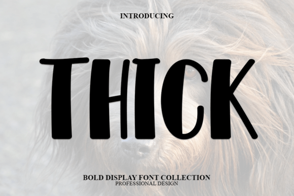 Thick Font: A Modern Display Typeface for Creative Impact